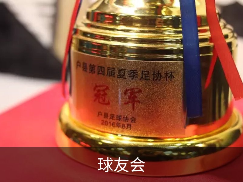 球友会概况
